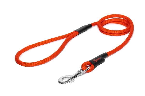 klassische Hundeleine - L - 175cm - orange